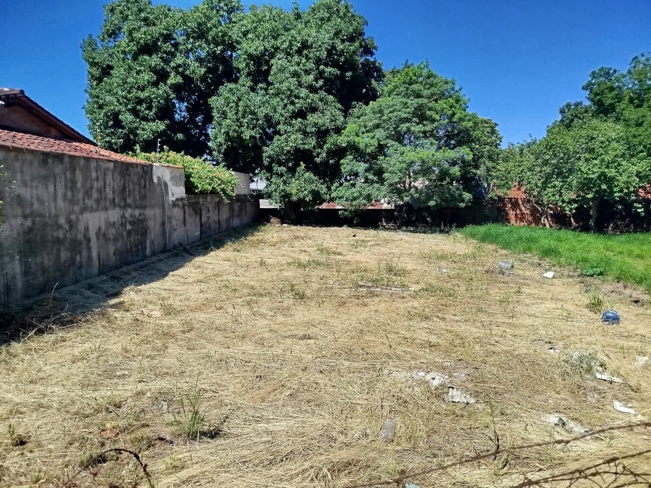 VENDO TERRENO EN LAMBARÉ ZONA CLUB COLEGIALES!! — foto 2