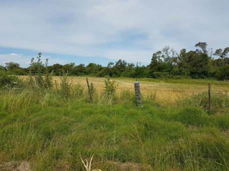 Campo Agricola Ganadero Con Cantera De Balasto
