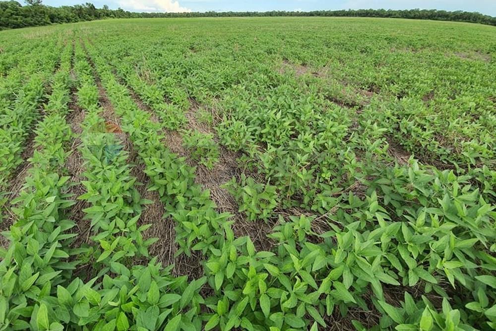 Venta Estancia en Agua Dulce Bahía Negra Chaco Pyo — foto 2