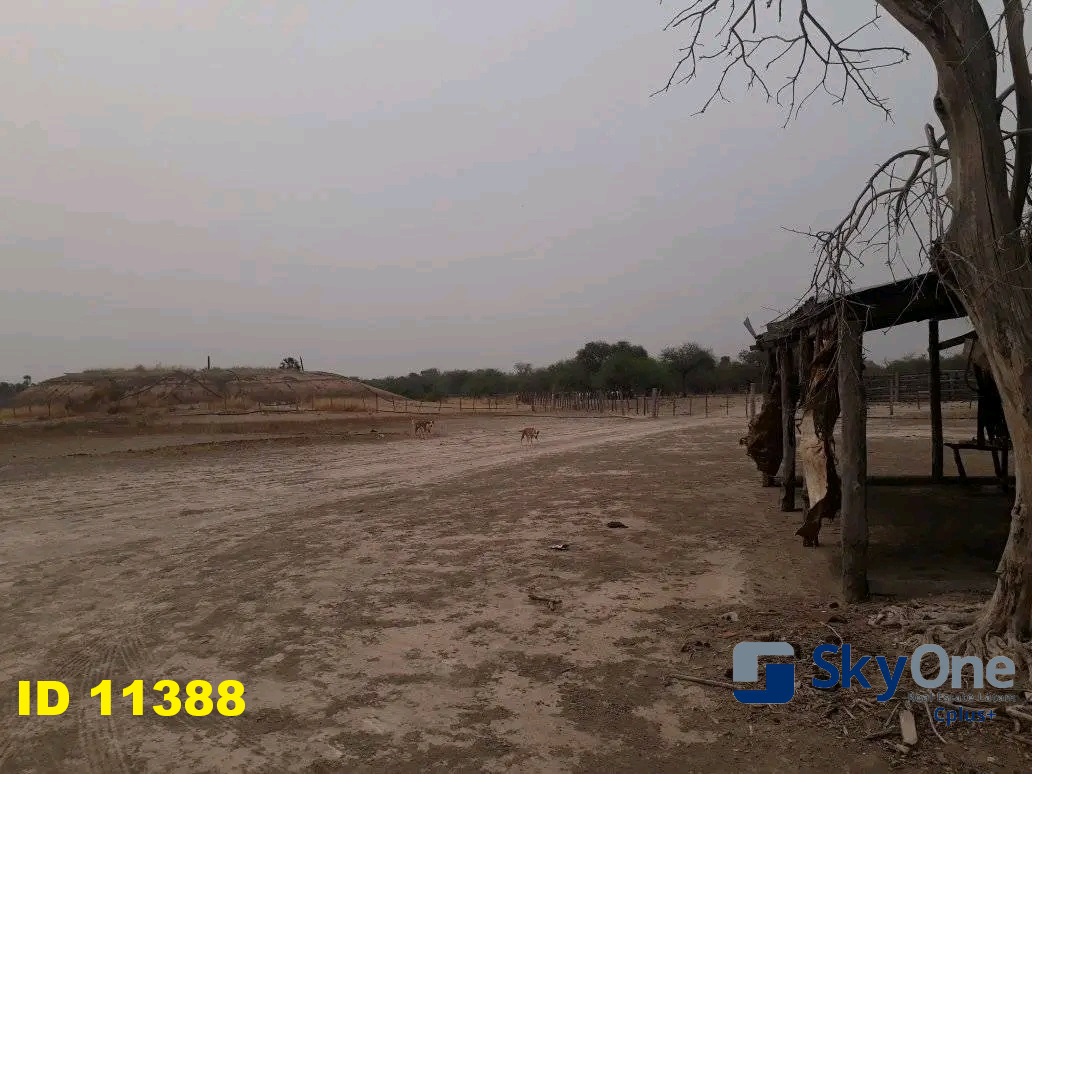 VENDO ESTANCIA EN ALTO PARAGUAY-FORTIN FLORIDA, 1500HAS — foto 3