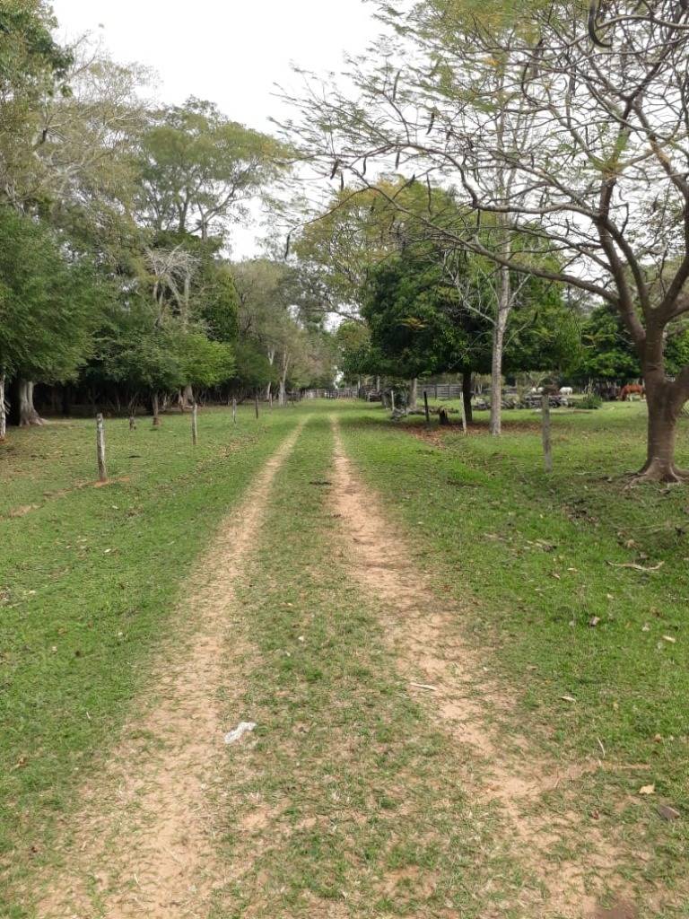 VENDO ESTANCIA EN SAN PEDRO — foto 2