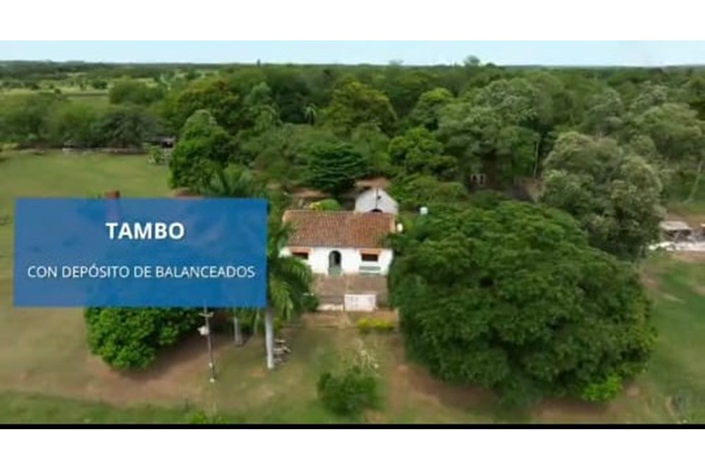 Terreno-Venta-Ruta Elizardo, Arroyos Y Esteros, Cordillera — foto 3