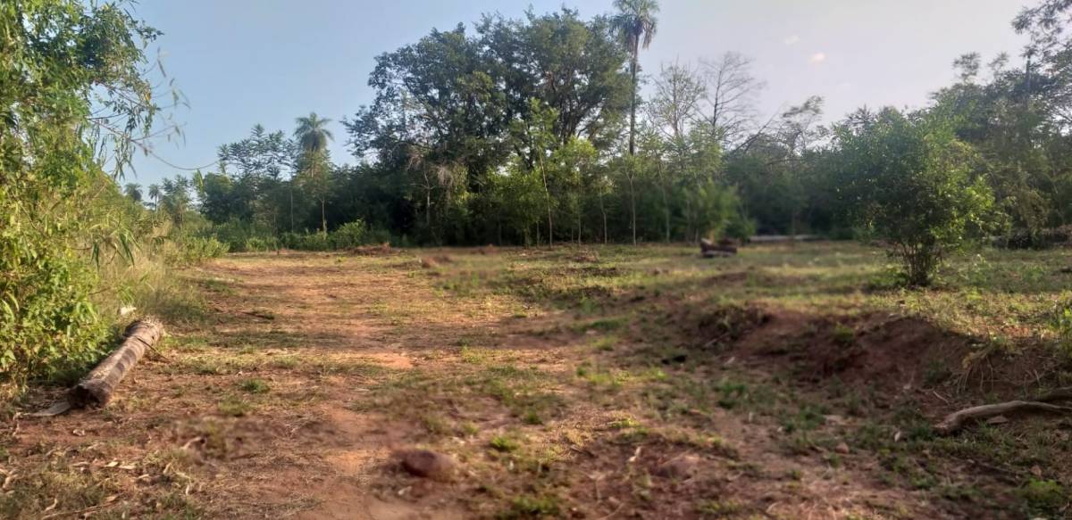 VENDO 8 TERRENOS EN EMBOSCADA - ISLA ALTA — foto 3
