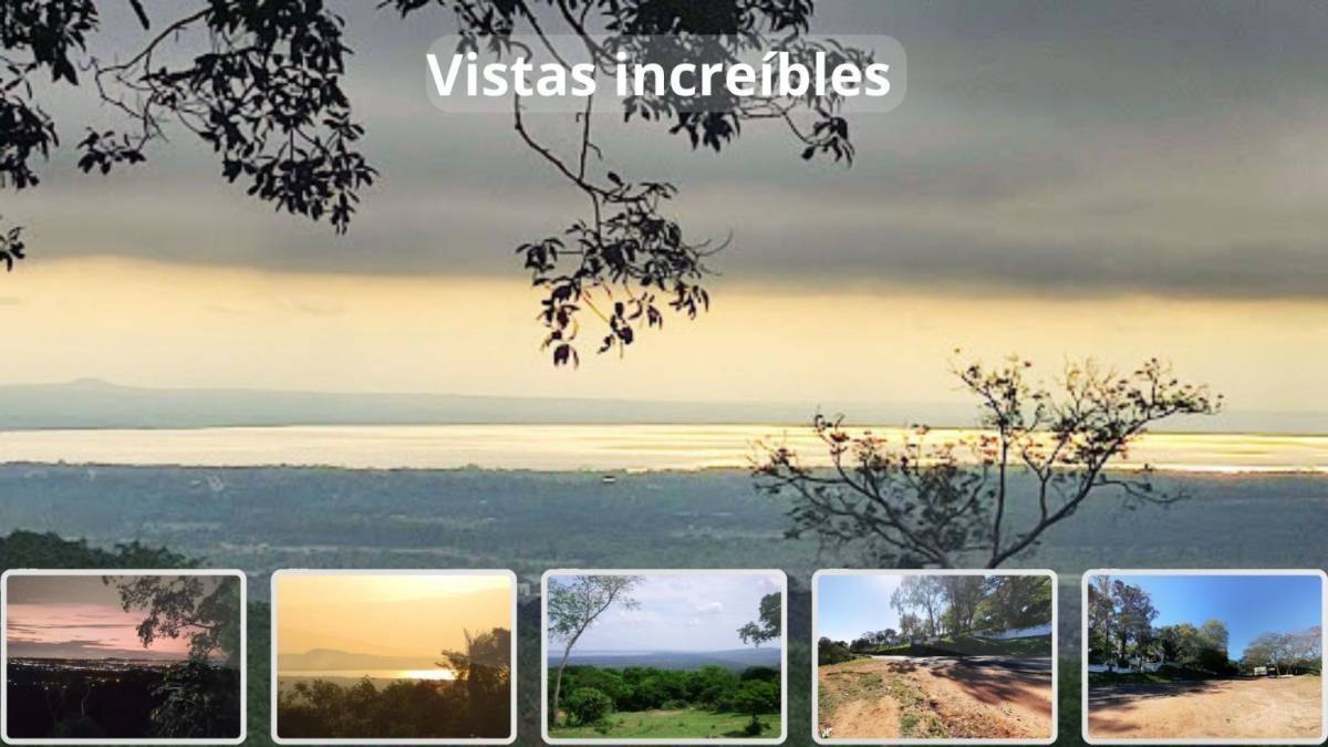 EN VENTA 5 HECTAREAS SOBRE RUTA 2 EN YACARAI — foto 3