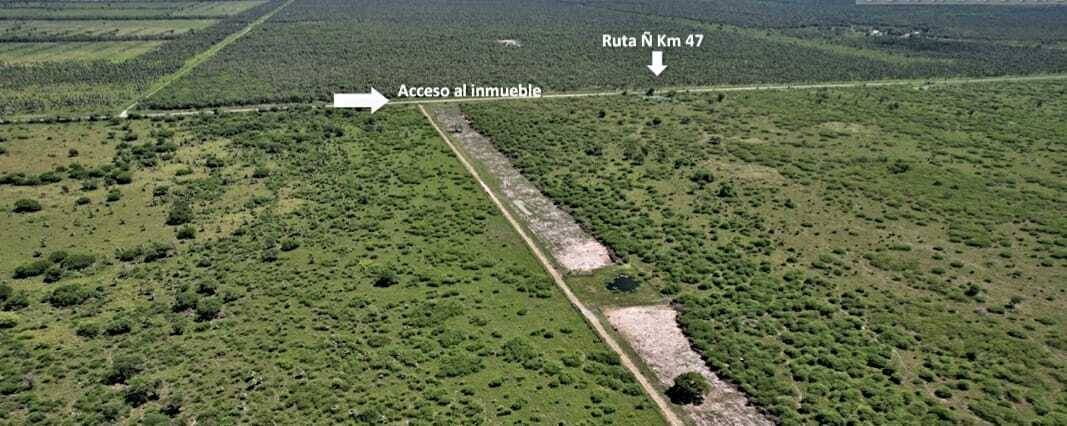 Ruta ñ Chaco. Estancia Ganadera En Produccion — foto 3