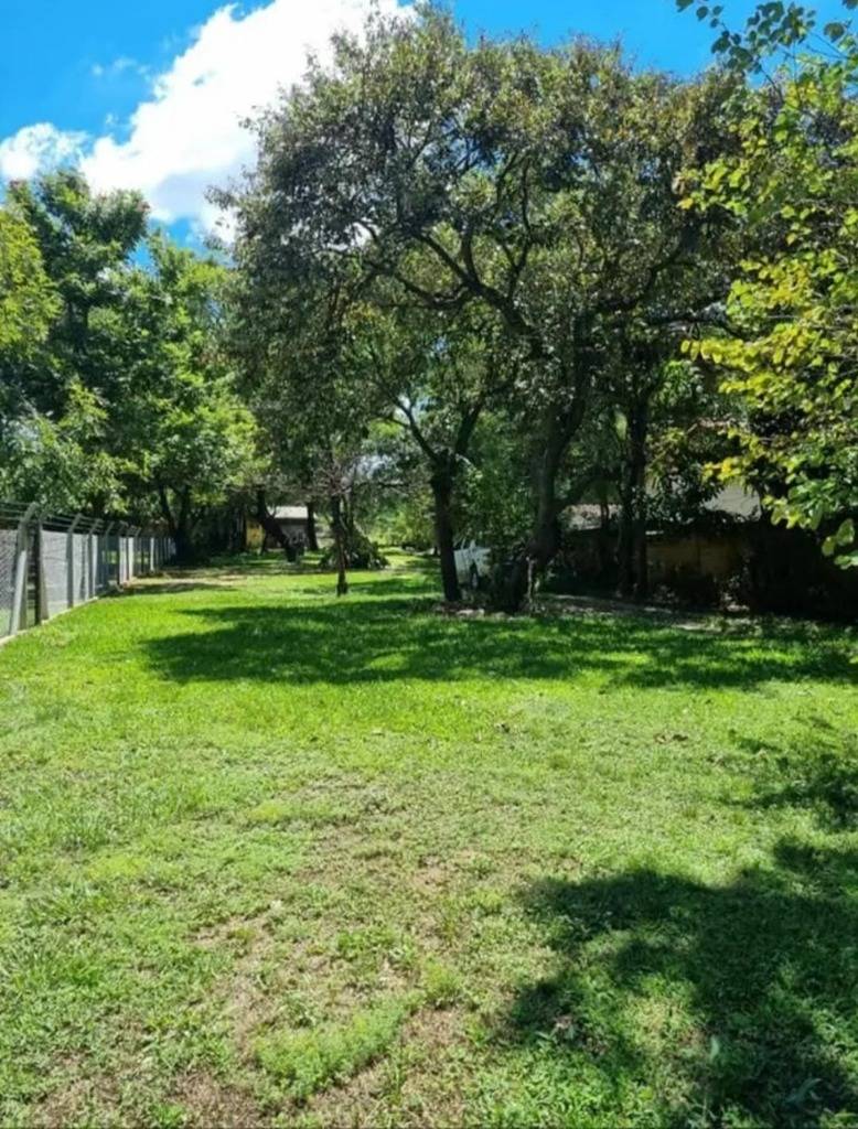 VENTA DE AMPLIO TERRENO DE 1.200 M² EN SAN BERNARDINO — foto 3