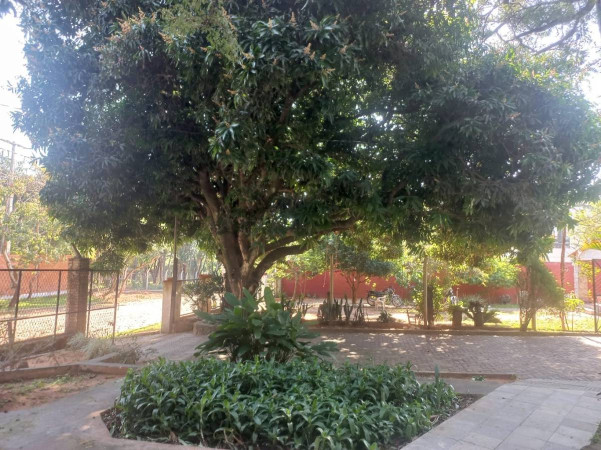 VENDO CASA EN BARRIO COLÓN SAN BERNARDINO - ALTOS — foto 2