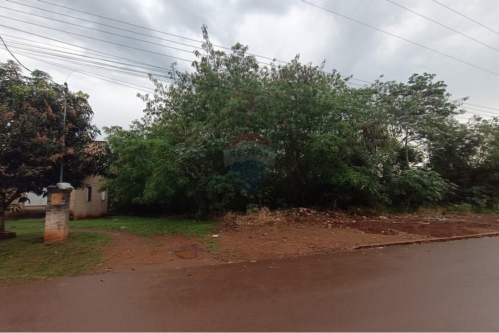 VENDO TERRENO EN PRESIDENTE FRANCO 5.000 M2 — foto 3