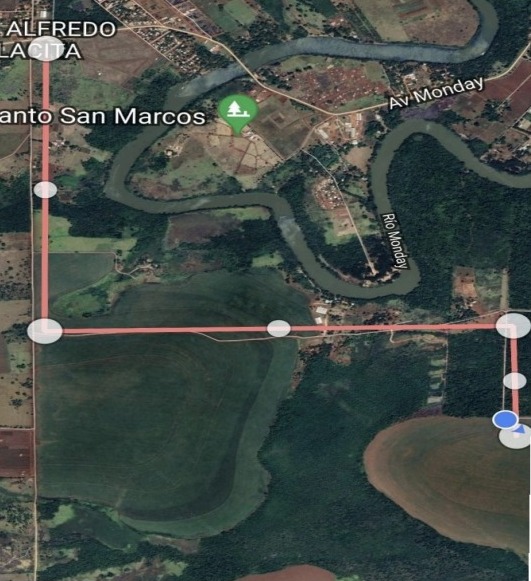 Vendo Campo de 101 Hectáreas en Cedrales, Alto Paraná-CLCS5609467 — foto 3