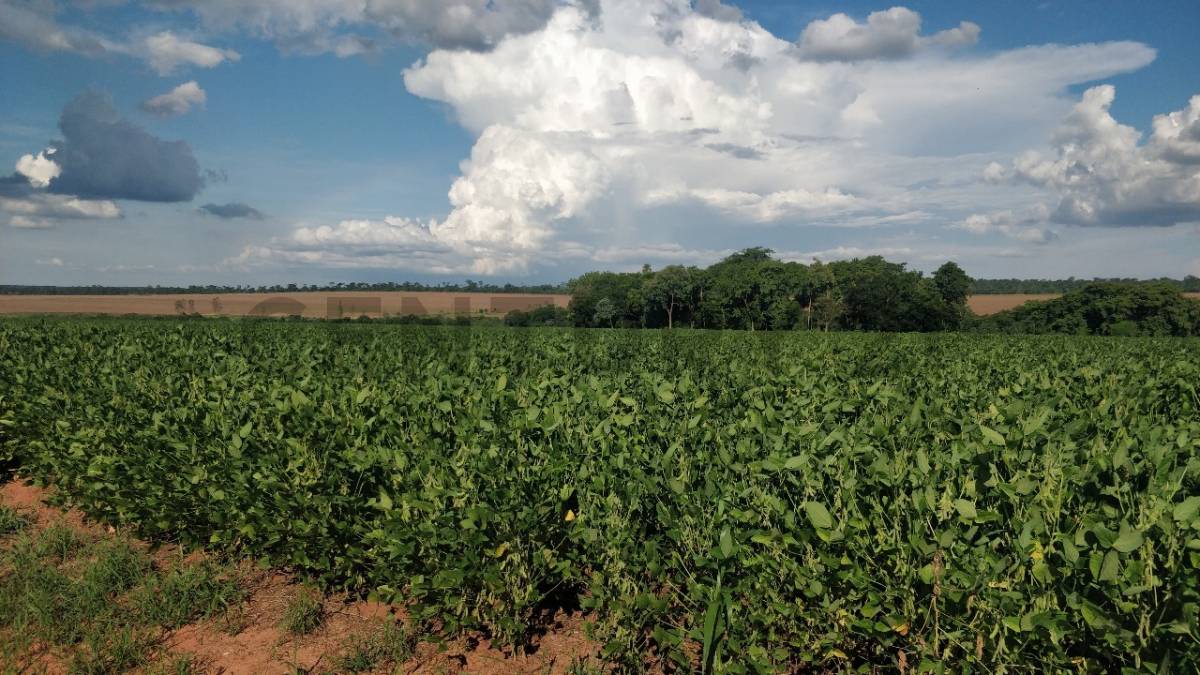 Venta de Estancia/Ganadera en San Estanislao, San Pedro — foto 3