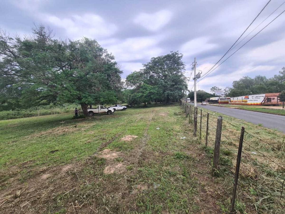 TERRENO DE DOS HECTAREAS EN LUQUE — foto 3
