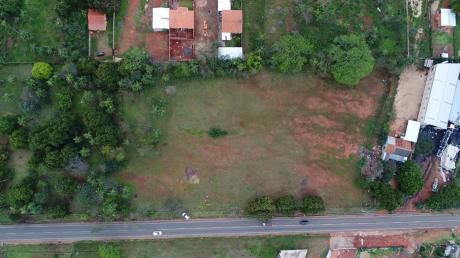 Vendo 1 Hectarea En Luque-limpio.