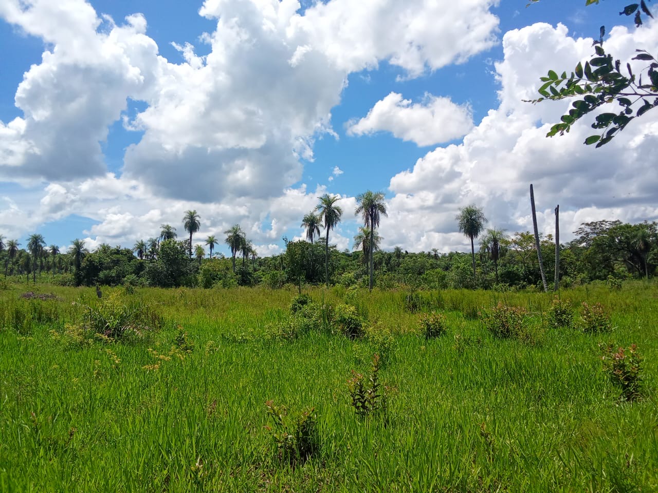 16 hectáreas en venta en barrero grande Eusebio ayala — foto 3
