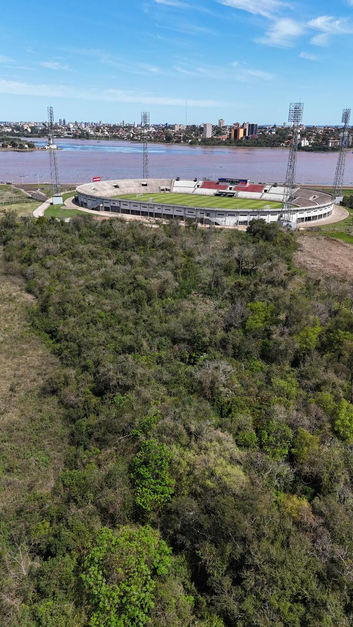 ENCARNACION TERRENO DE 2 HECTÁREAS FRENTE AL RÍO PARANÁ — foto 2