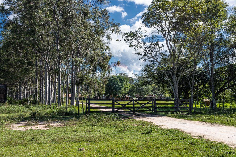 EN VENTA IMPONENTE ESTANCIA EN CAAPUCU — foto 3