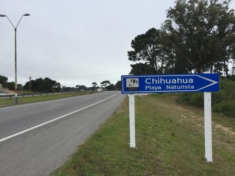 Terreno En Venta En Chihuahua - Lote 1