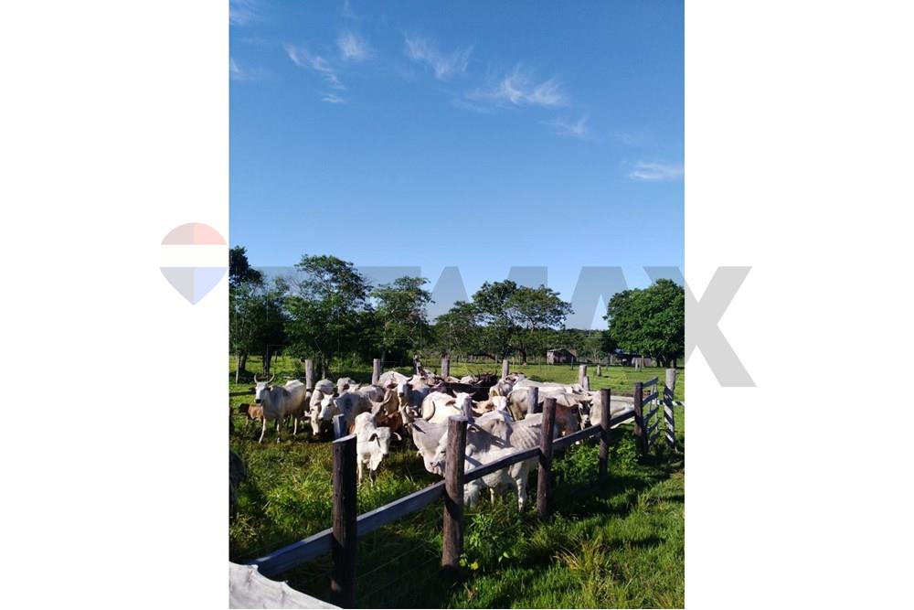 VENDO ESTABLECIMIENTO GANADERO EN CANINDEYU — foto 3
