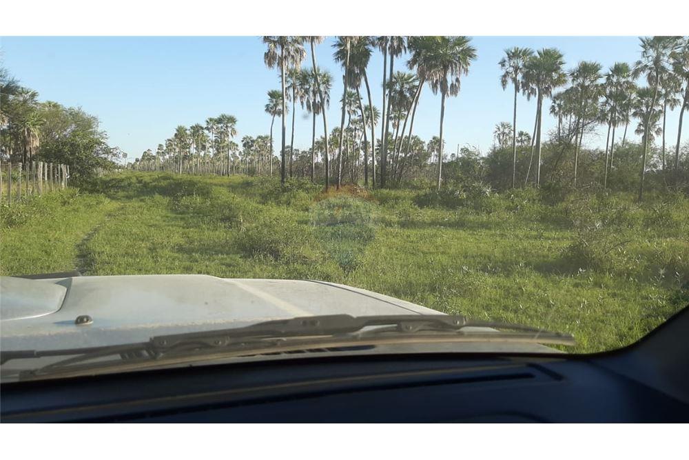 Venta - Estancia - Presidente Hayes — foto 2