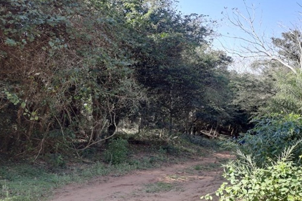 Venta De Terreno En Pirayú 6,48 Hectáreas — foto 2