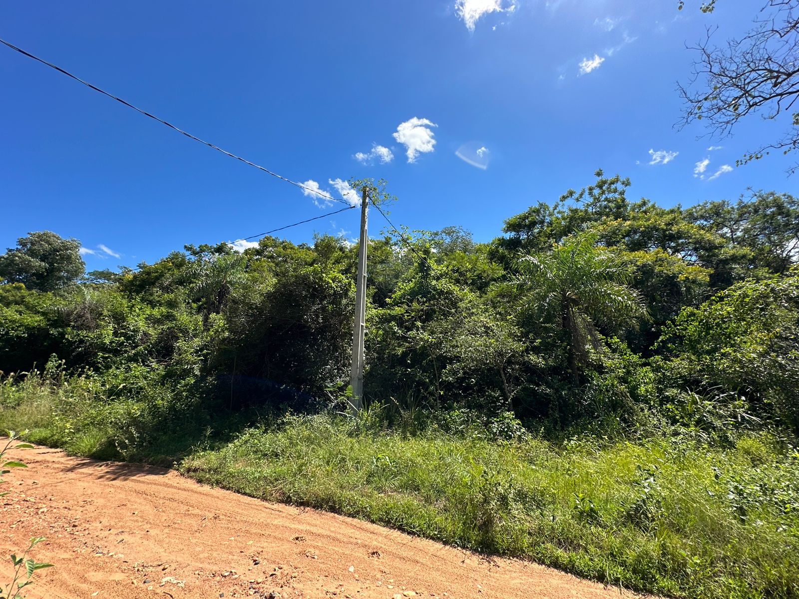 En venta 3 lotes juntos en San Bernardino - Ciervo Cua — foto 3