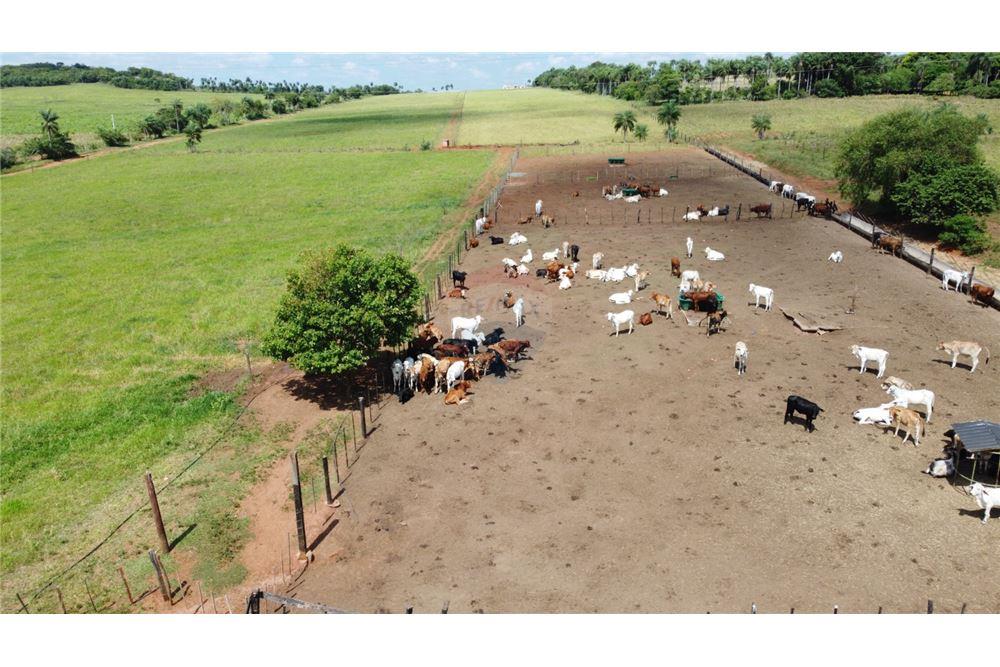 En Venta Campo Estancia Amoblada13 hectáreas Piribebuy — foto 2