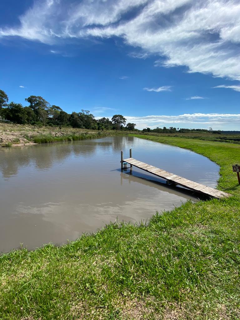 Venta de Excepcional Propiedad Productiva en Caaguazú — foto 2
