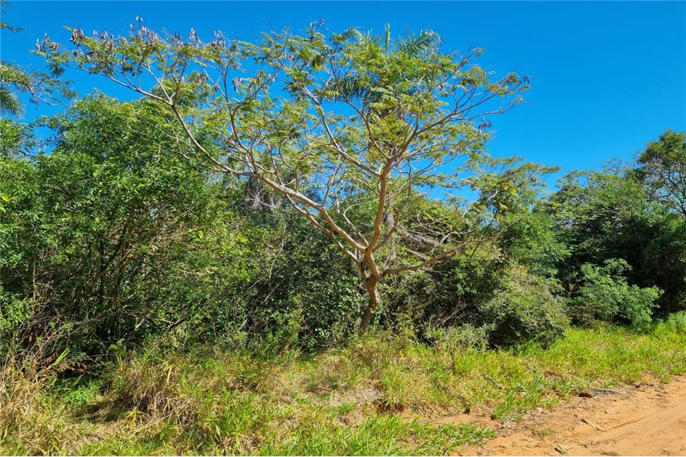 Terreno-Venta-Tapé Tuyá casi San Juan Bautista, Caacupé, Cordillera — foto 3