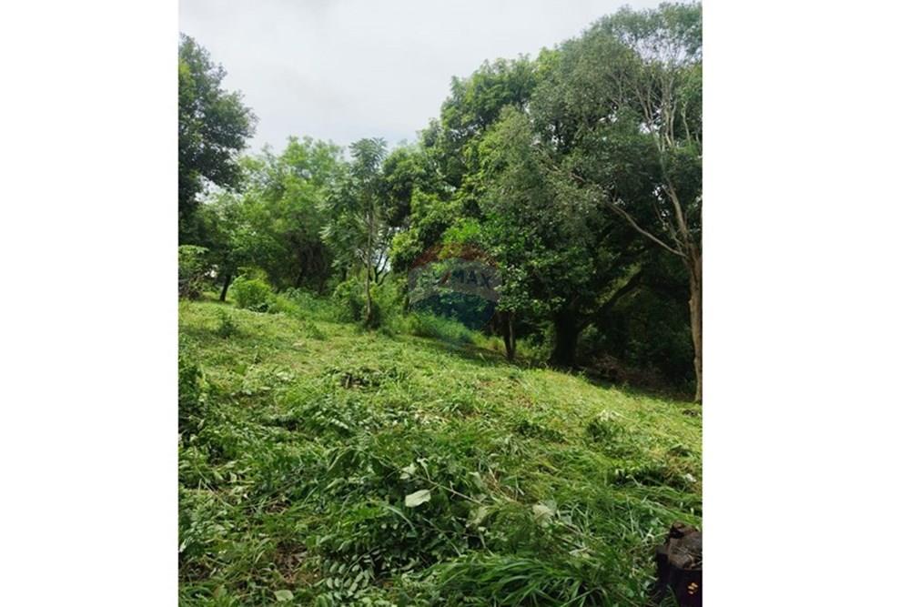 Terreno - Venta - Encarnación, Itapúa, Paraguay — foto 3