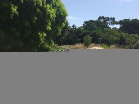 Alquiler Terreno Pinar Sur Nivelado Y Cercado