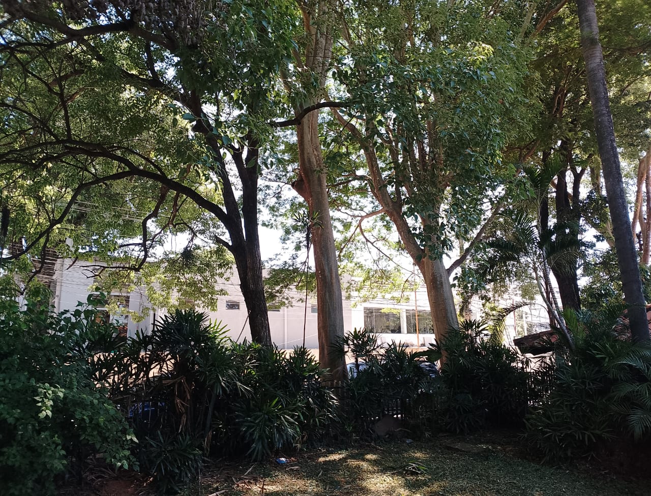 Alquiler de Casa para Uso Comercial – Villa Morra — foto 2
