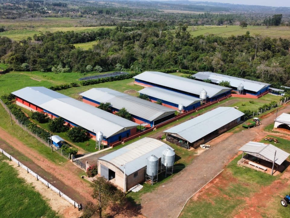 VENDO CAMPO EN CORONEL OVIEDO | 50 Hectáreas con Infraestructura para Producion — foto 2