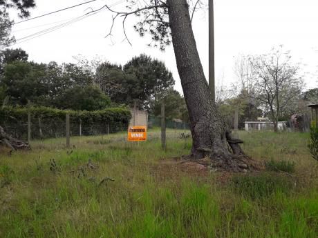 Terreno Próximo Al Bus Cerca Del Mar