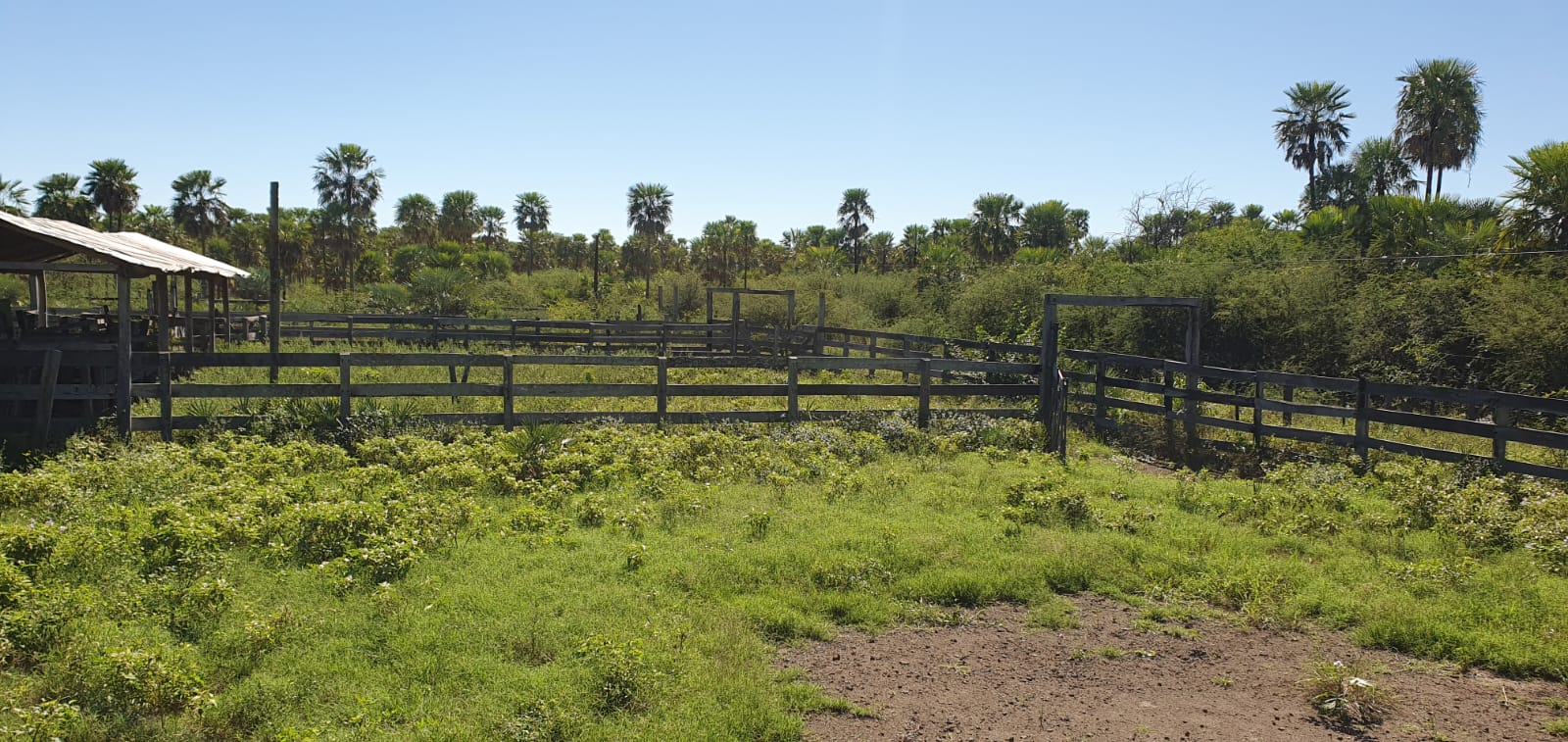 Vendo Propiedad Rural Distrito Benjamín Aceval - LCS6915281 — foto 2