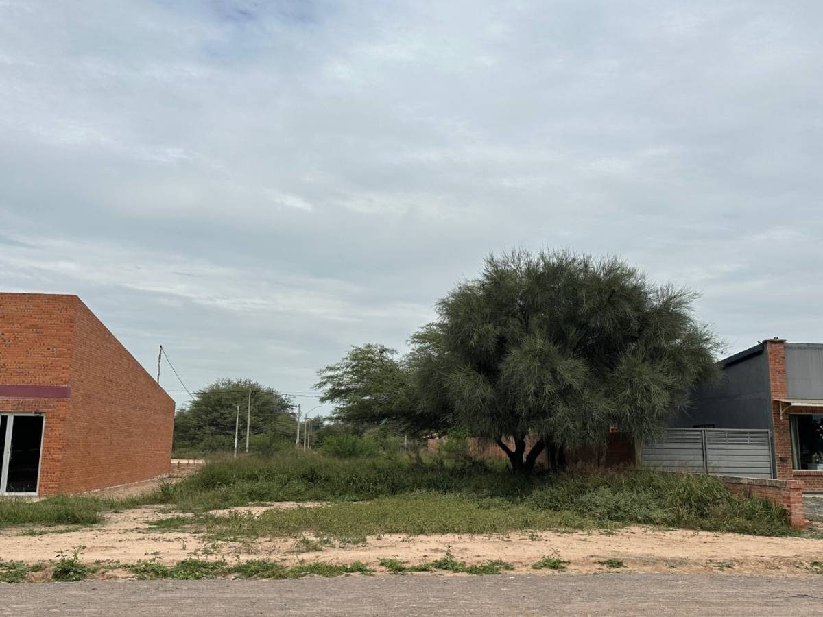 2 terrenos, 720 m², sobre avenida, con doble acceso. Complejo Boreal, Filadelfia — foto 3