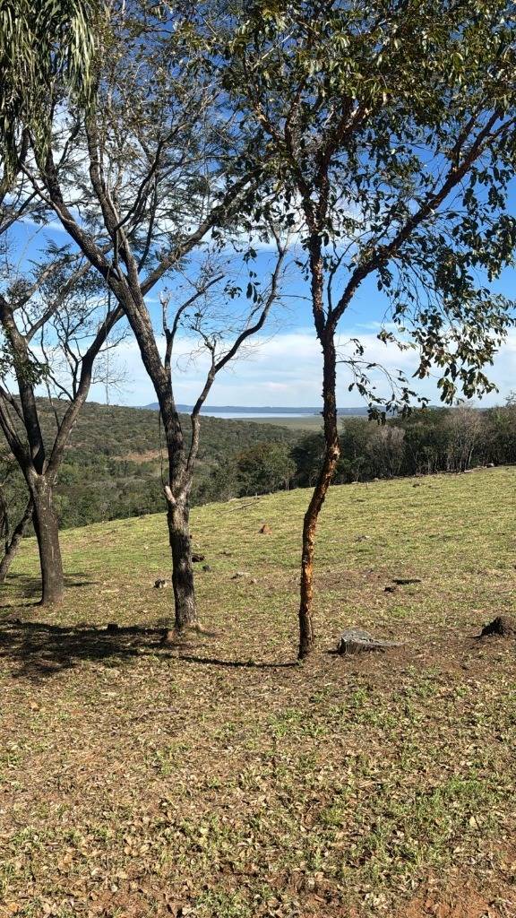 VENDO TERRENO CON HERMOSA VISTA EN SAN BERNARDINO CAMINO A NUEVA COLOMBIA — foto 3