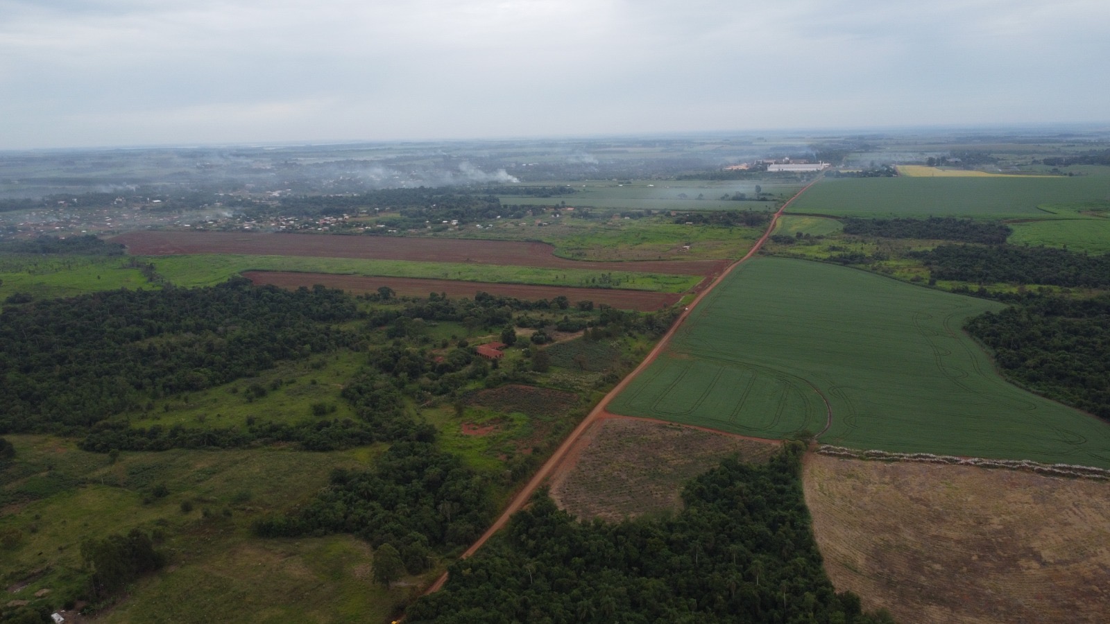 VENDO 40 HECTAREAS EN MINGA GUAZU KM 28 ALTO PARANÁ — foto 2