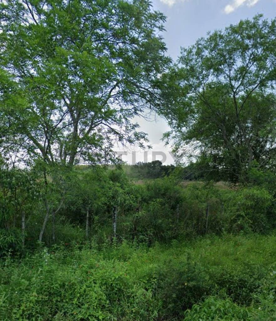 Vendo 2.6 ha a una cuadra de la ruta transchaco en Benjamin Aceval — foto 3