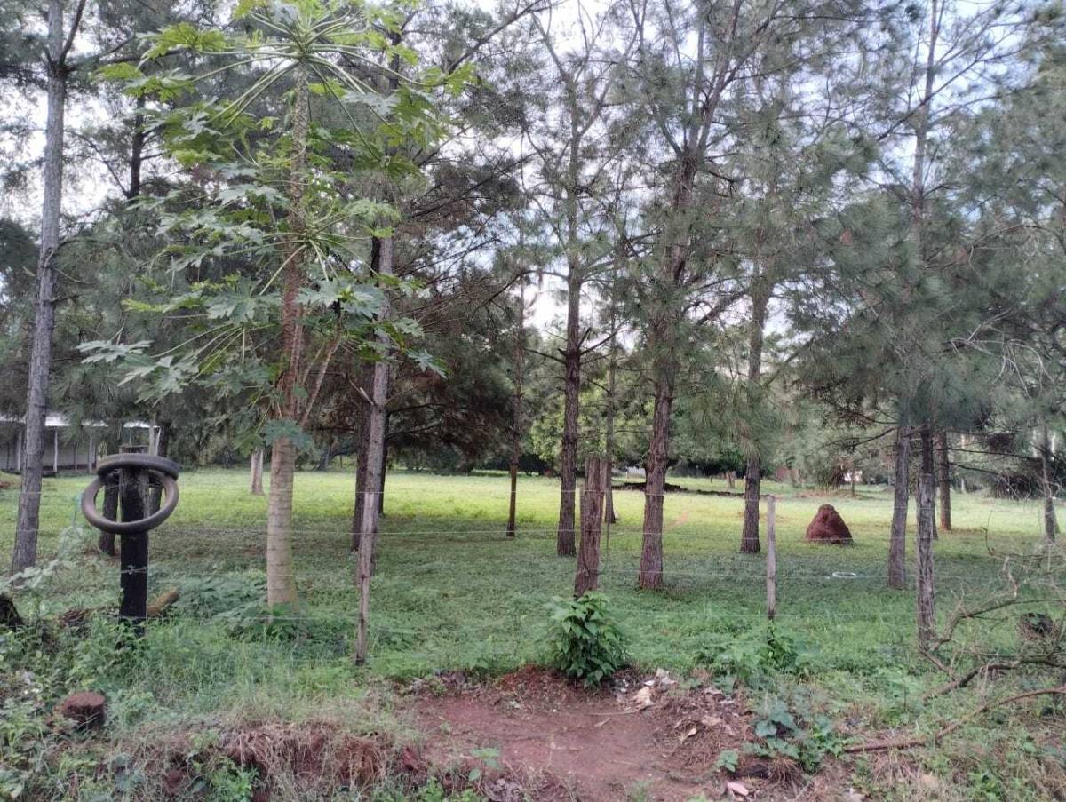 Terreno 12.404 m² zona Palacio de Justicia | Luque — foto 3