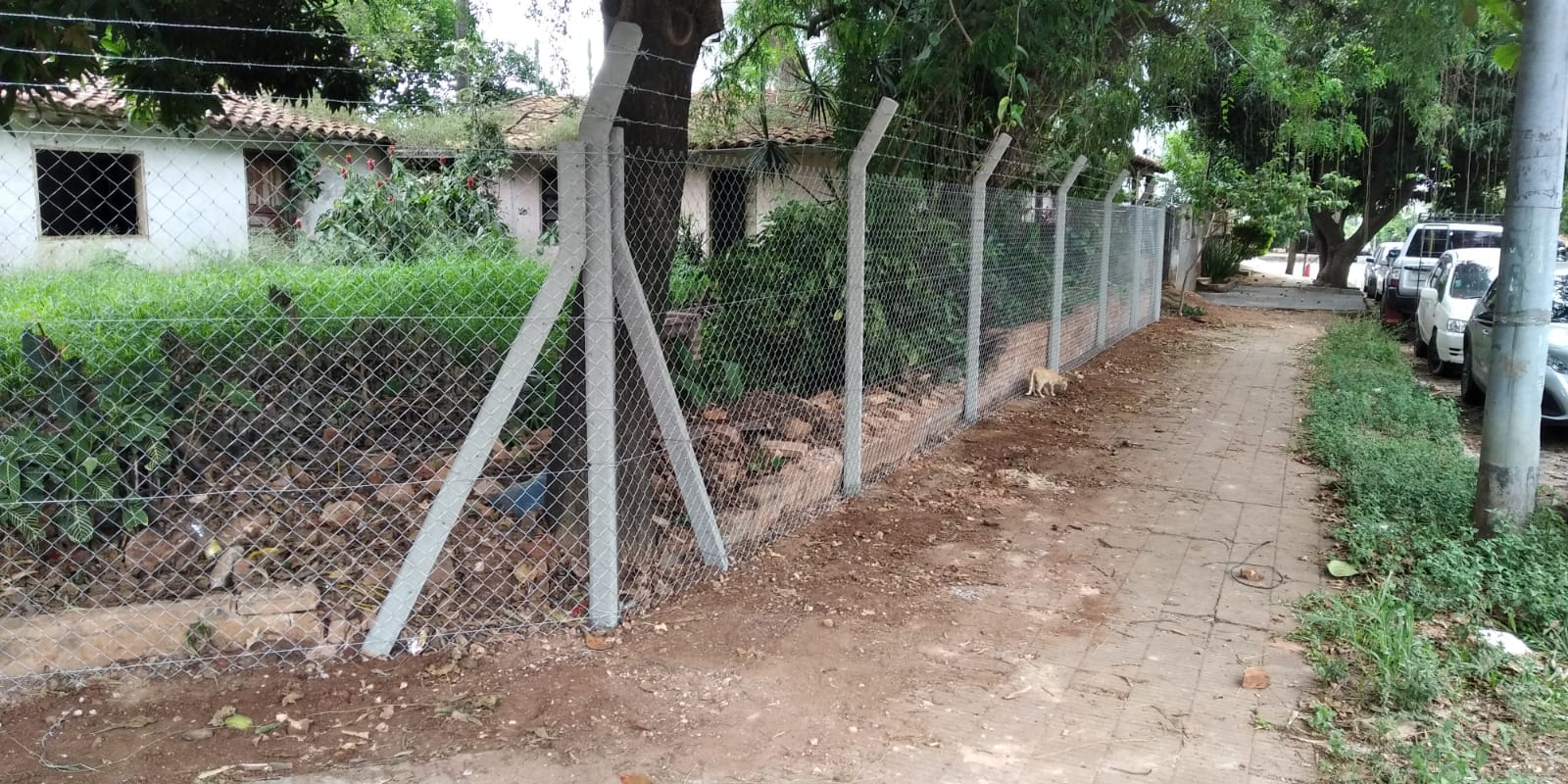 SE VENDE TERRENO EN ESQUINA – VILLA AURELIA. GENIAL PARA INVERSIÓN — foto 2