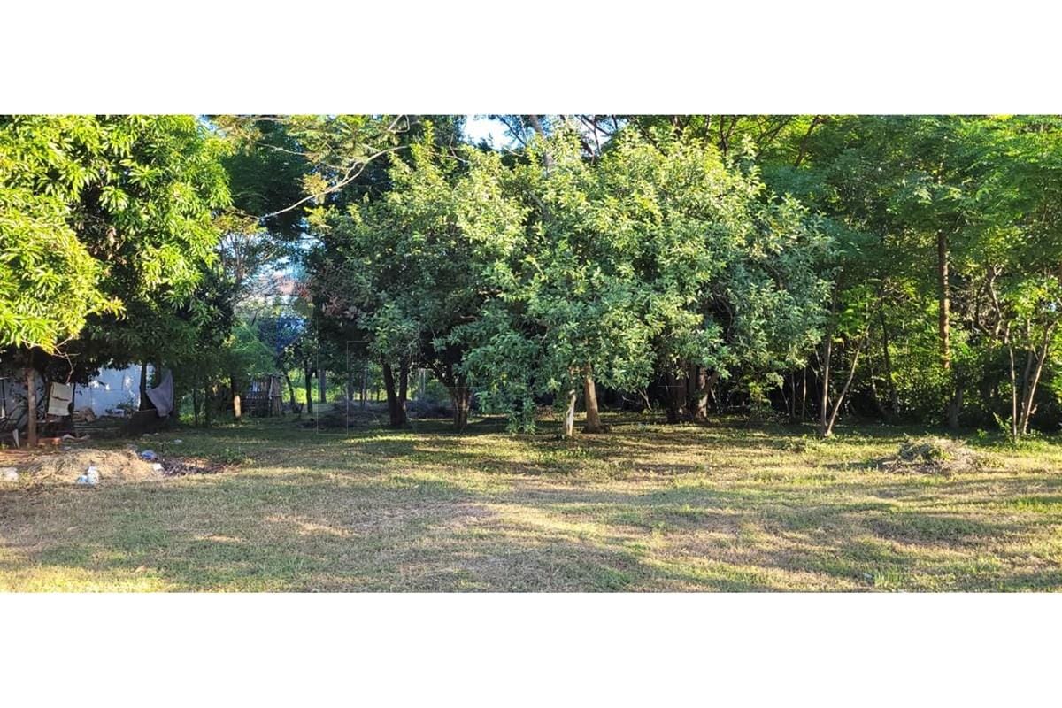 TERRENO EN PARAGUARI — foto 3