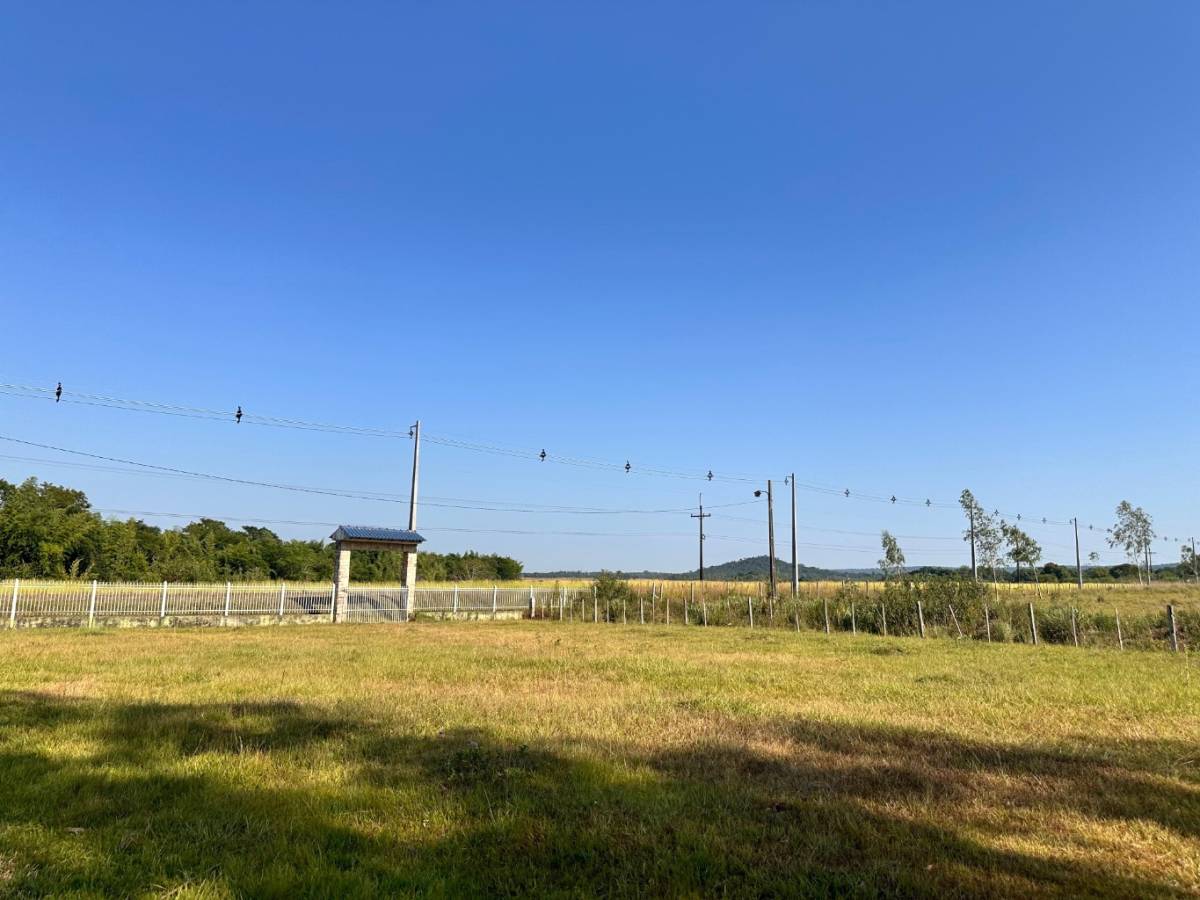 Maravillosa Granja en La Colmena de 63 has - Dividida en 4 fincas — foto 3