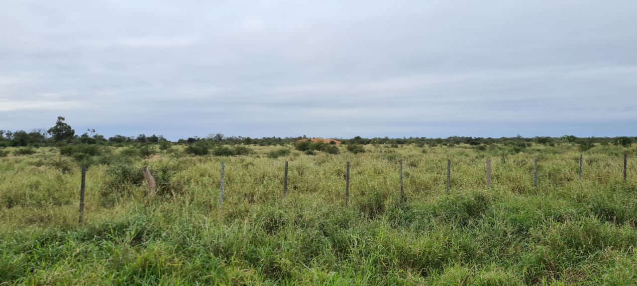 Vendo Campo de 16.983 Hectáreas en Alto Paraguay, Zona Madrejón - CLCS6508109 — foto 3