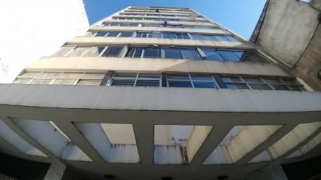 Barbato