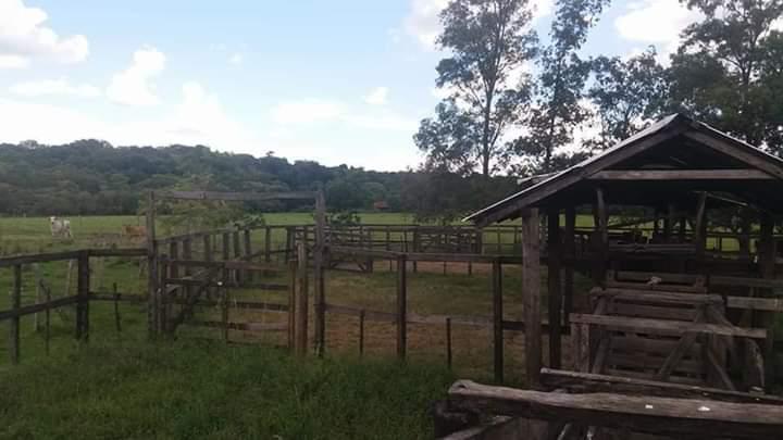 VENDO 285 HECTAREAS EN MISIONES — foto 2