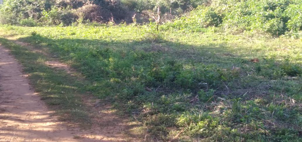 VENDO HERMOSA PROPIEDAD DE 3,75 HAS CON ARROYO EN YAGUARON — foto 2