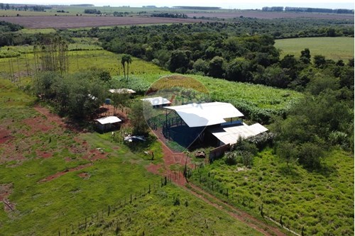 Campo - Venta - Hernandarias, Alto Paraná, Paraguay — foto 2