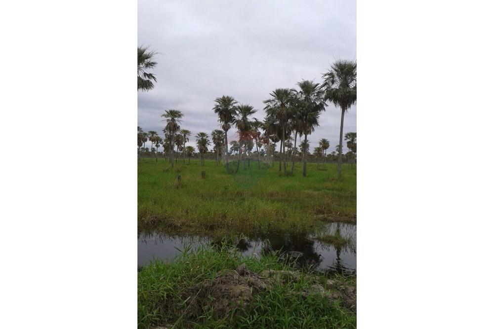 En Venta Estancia en Presidente Hayes, Paraguay — foto 2
