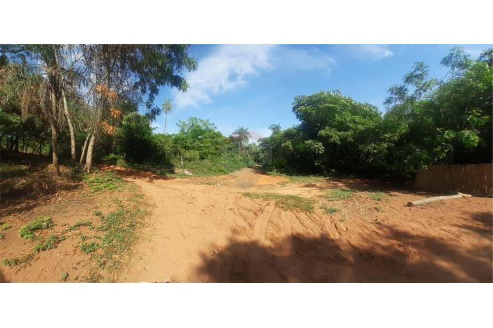 VENDO TERRENO EN LA CIUDAD DE ALTOS — foto 2