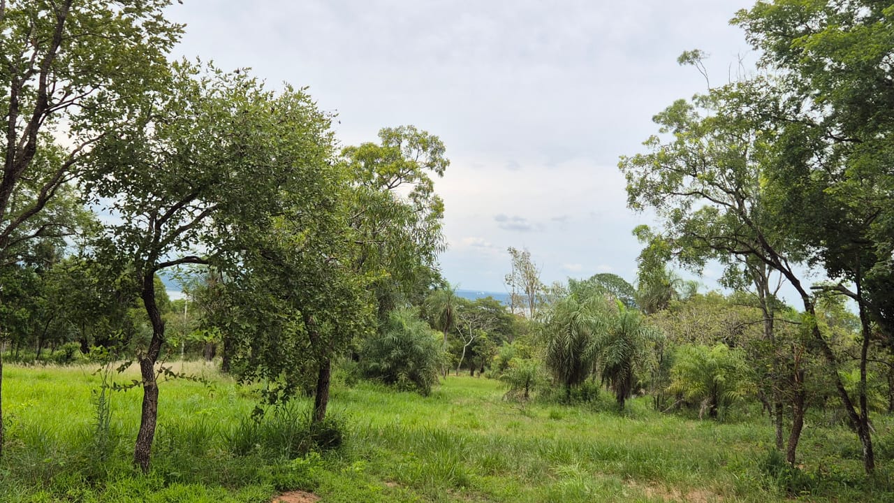 TERRENO EN VENTA- SAN BERNARDINO — foto 2