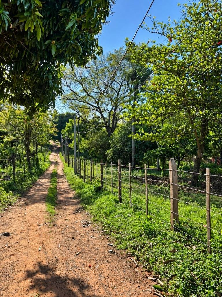 VENDO TERRENO EN SANBER — foto 2